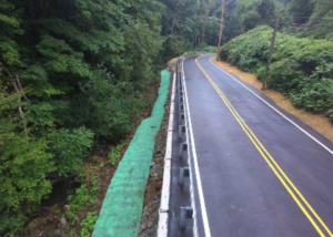 ACDPW-project-profile-road